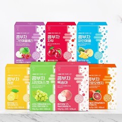 DAY& Kombucha 7 Fruit Flavors Tea Simple Light Tea 5g x 30T Korean Healthy Tea
