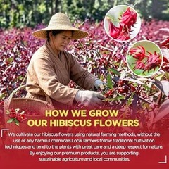 Hibiscus Tea Bags 100 Count – 100% Pure Natural Dried Hibiscus Flowers No Sugar