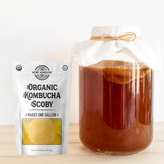 Scoby Kombucha FBA_LEPAZC5747 1 X Organic Kombucha Scoby-Live Culture