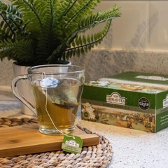 Jasmine Green Tea, Tagged Teabags without envelopes, 100 Count