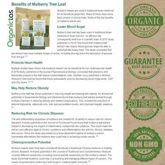 Organic Black Mulberry Leaf Tea (Morus Nigra) Wild Harvest Premium Quality