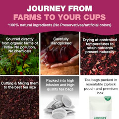 HANDPICK, Organic Hibiscus Tea Bags (100 Tea Bags) | Caffeine-Free, 100% Natural