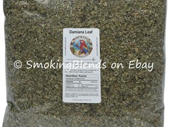 Damiana Leaf (Turnera Diffusa) Bulk | 4 oz, 8oz, 1 lb, 5 lb, 10 lb, 20 lb, 40 lb