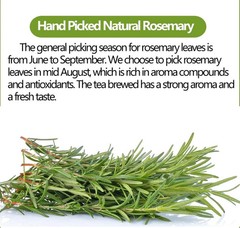 ULTHMOK Rosemary Tea Bags 100 Count Pure Natural Caffeine Free Herbal Tea