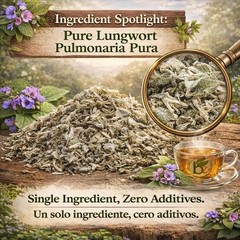 Pulmonaria Herbal Tea – 4 oz (113g) – 100% Natural Lungwort Herb – Wildcrafted