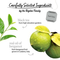 Bigelow Tea Earl Grey Black Tea, Caffeinated 100 100 Count (Pack of 1)