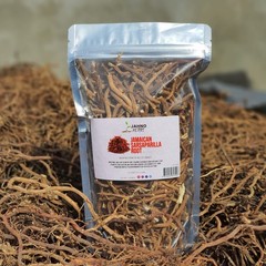 jamaican sarsaparilla Roots