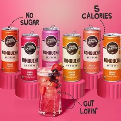Liquid Remedy Kombucha Sugar Free Organic Drink Low Calorie Probiotic Like Te…