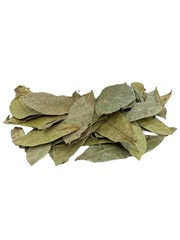 Yerbero Dried Graviola Soursop Leaves 4 oz | 100 Natural Tea from Mexico