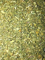 Herb Feverfew (Certified Organic) leaves herbal flowers – grown in Usa