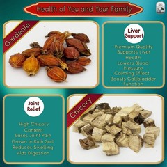 Kidney Support Liver Detox Chicory and Gardenia Herbal Tea 30 Bags 150g