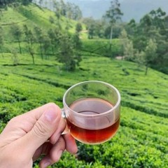 40g(1.41 oz)PACK Ceylon Tea Loose Leaf Organic Srilankan High Quality Black Tea