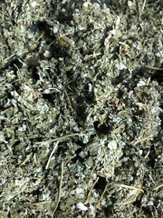 Red Raspberry Leaf – ORGANIC Bulk c/s Cut NATURAL Rubus HERB – Spice Discounters