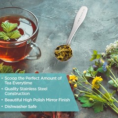 Loose Leaf Tea Spoon Measure | One Cup of Perfect | 5x 1x 1, Silver