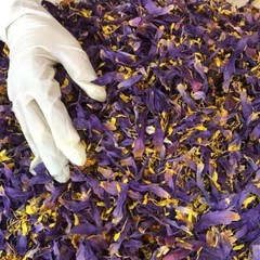 Ceylon Blue Lotus Nymphaea Caerulea 100% Organic Hand Pick Dried Flowers Tea