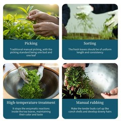 Biluochun Green Tea New Tea Grade AAA Dongting Bi Luo Chun Chinese Green Tea …