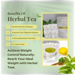 BODYMELT 30 Days Detox Tea Powder Form | Herbal Tea Formula | 30 Sachet Powder |