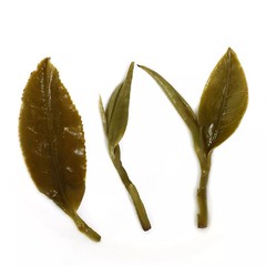 1000g Nonpareil Supreme Suzhou Biluochun Green Tea Spring Snail Pi lo Chun Tea