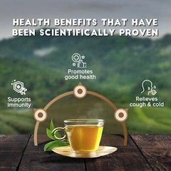 Himalaya Green Tea GINGER- 60 Tea Bags (2 gram) Relieves Indigestion FREE SHIP
