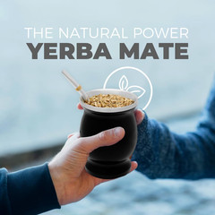 Stainless Steel Double-Wall Mate Cup and Bombilla Set – Yerba Mate Set Includes