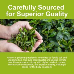 Chicory and gardenia herbal tea