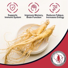 Authentic American Ginseng Tea Bags – 40 Count