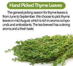 Premium 100 Thyme Leaf Tea Bags, Made with 100% Pure 100 Count (Pack of 1)