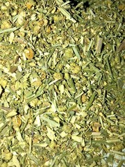Herb Feverfew (Certified Organic) leaves herbal flowers – grown in Usa