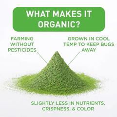 Aiya Certified Organic Culinary Grade Matcha Green Tea Powder, 100 g, LOT OF 2