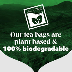 One Cup Pyramid Tea Bags (Pack of 1, Total 1100 Tea Bags)