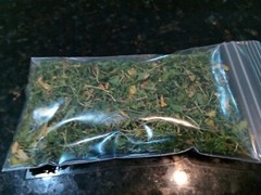 1 Cup Dried Common Chickweed For Tea or Salva.US grown.
