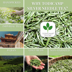 TODICAMP White Tea Organic Silver Needle Tea – 3 Oz