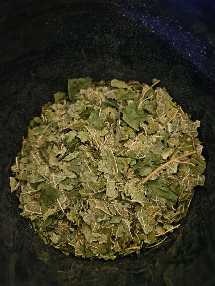 Organic Mulberry loose leaf tea USA Grown and packaged 4oz
