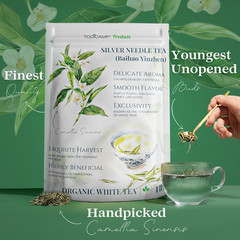 TODICAMP USDA Organic Silver Needle Tea – 16 Ounces of Premium Silver Needle Tea