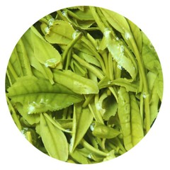 GOARTEA Premium Anji Baicha Baipian White Slice Tea Spring Chinese GREEN TEA