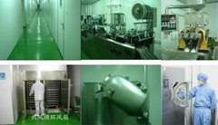 Blood Pressure Lose Weight Tea Chinese Specialty Herbal Mulberry Leaf Detox Tea