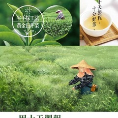 TAIWAN CHA REN Series – Taiwan Dong Ding Oolong Tea Loose Leaves, 3.5oz (100g)