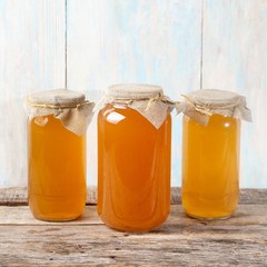 Scoby Kombucha FBA_LEPAZC5747 1 X Organic Kombucha Scoby-Live Culture