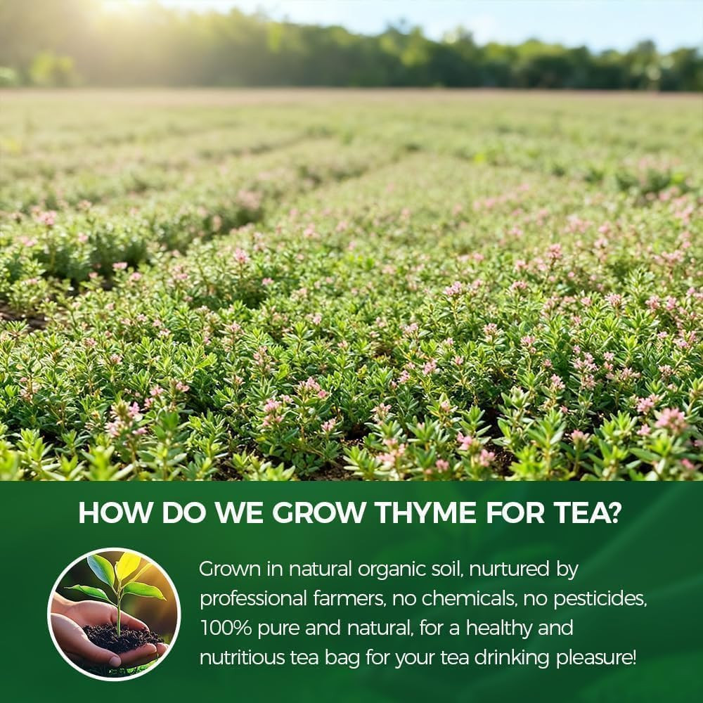 120 Count Premium Thyme Leaf Tea Bags – 100% Natural & Pure Herbal Tea, Suppo…
