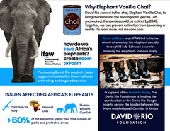 David Rio Elephant Vanilla Chai, Bulk, 4lb. Bag, New.