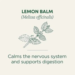 Traditional Medicinals Organic Lemon Balm Tea, 16 Tea Bags