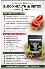 2000 X EFFECTIVE 60 PLUS CUPS SUPPLY NATURAL BLOOD DETOX FLUSH PURIFER TEA