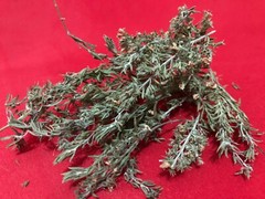 WILD ORGANIC WINTER SAVORY DRIED SPICE HERB LOOSE LEAFS SATUREJA MONTANA 1 CLASS