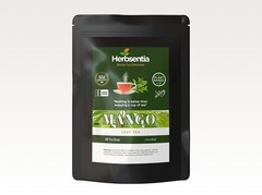 Mango Leaf Tea – Blood Sugar