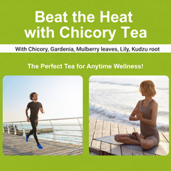 Chicory and Gardenia Herbal Tea (30 Bags) Liver and Kidney Pancreas Wellness