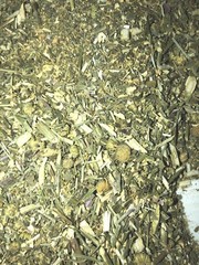 Herb Feverfew (Certified Organic) leaves herbal flowers – grown in Usa