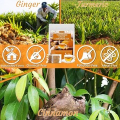 120 Turmeric, Ginger, Cinnamon Blend Tea Bags, 100% Natural & No Additives &…