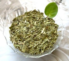 Tea Plus Herb Infusion South American Yerba Mate & Japan Sencha Green Tea Blend