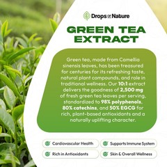 Green Tea 10:1 Extract 50% EGCG – 2 Fl Oz (Pack of 1), Pineapple
