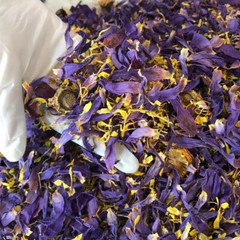 Ceylon Egyptian Cut Blue Lotus Nymphaea Caerulea Hand Picked Herbal Organic Tea
